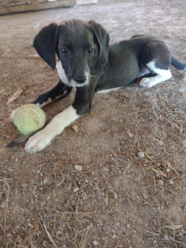 Timmy Foto 2